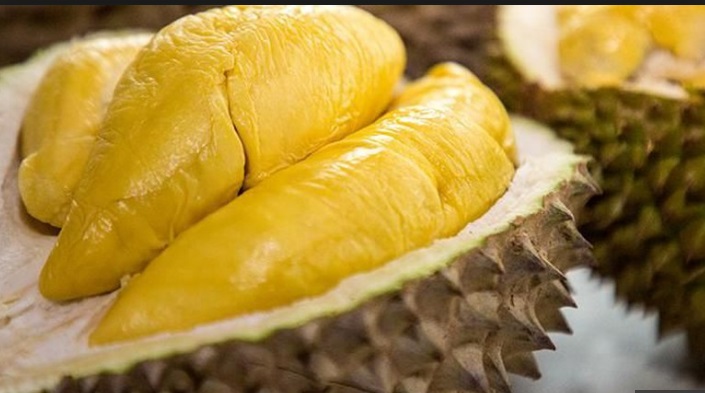 J-Queen Durian