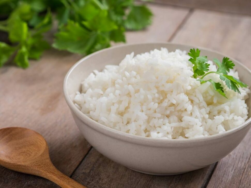 rice cooker gratis