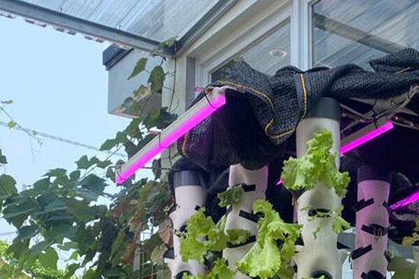 Integrated Smart Vertical Hydroponic Farming